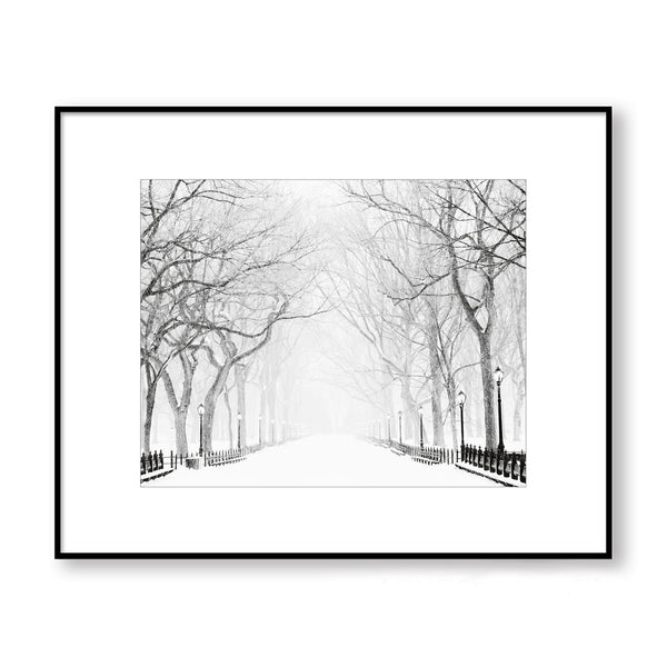 Snowy Winter Morning in the Park - Landscape Print - LS03