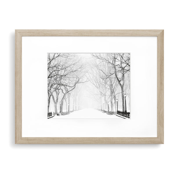 Snowy Winter Morning in the Park - Landscape Print - LS03