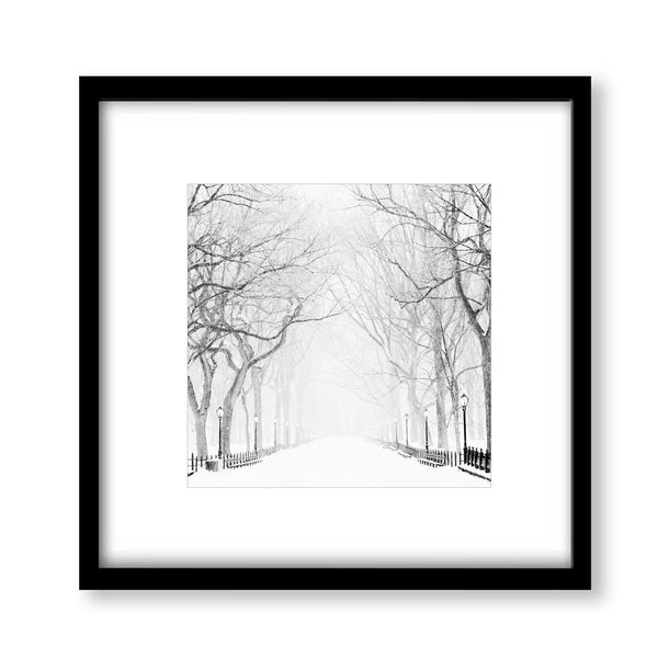 Snowy Winter Morning in the Park - Landscape Print - LS03