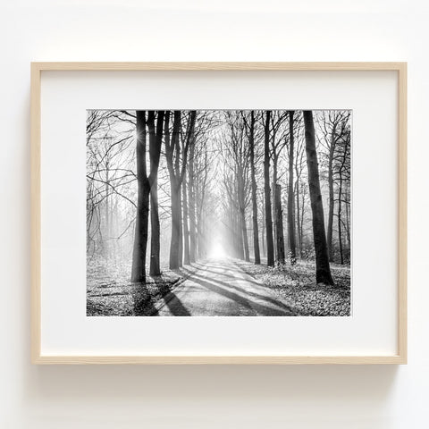 Misty Forest Monochrome Textured Print - Land05