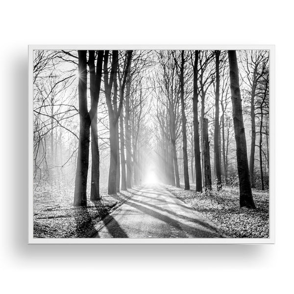 Misty Forest Monochrome Textured Print - Land05