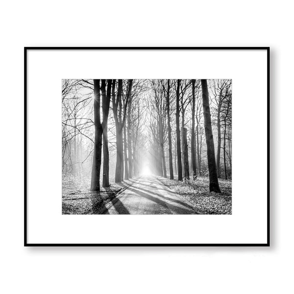 Misty Forest Monochrome Textured Print - Land05