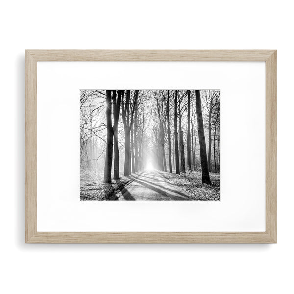 Misty Forest Monochrome Textured Print - Land05