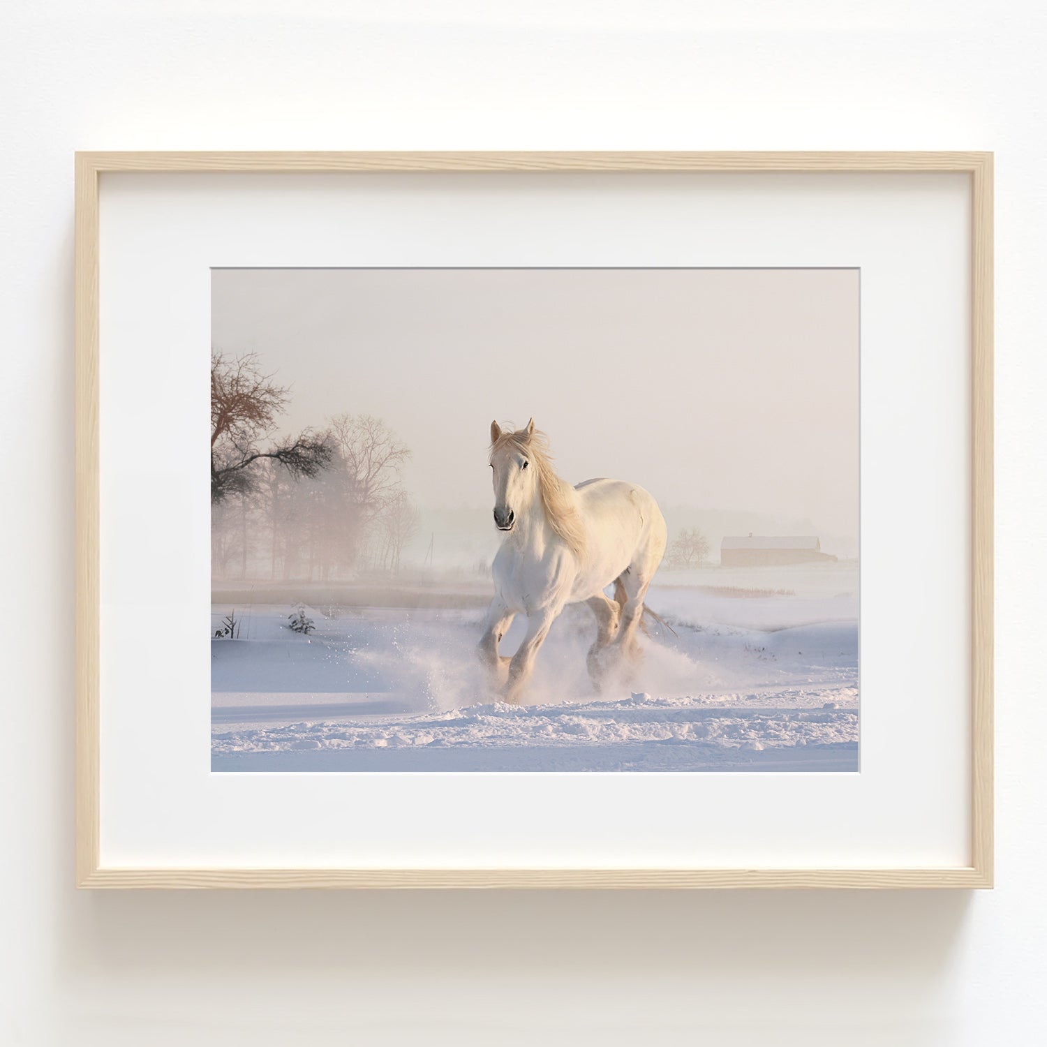 Galloping White Horse in the Snow Textured Print - Land08