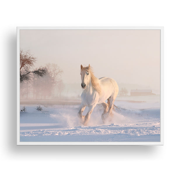 Galloping White Horse in the Snow Textured Print - Land08