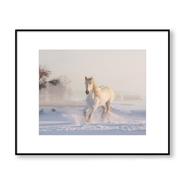 Galloping White Horse in the Snow Textured Print - Land08