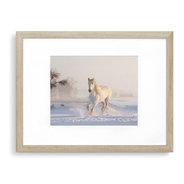Galloping White Horse in the Snow Textured Print - Land08