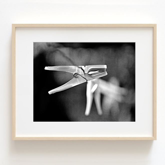 Fine Art - Still Life