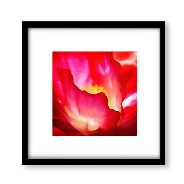 Abstract Red Flower - Modern06