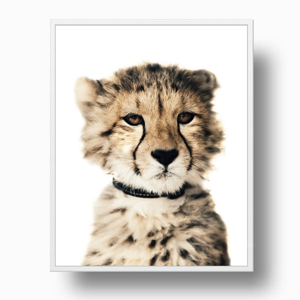 Cute Leopard Cub Nursery Digital Printable Art in Multiple Sizes - NA1006
