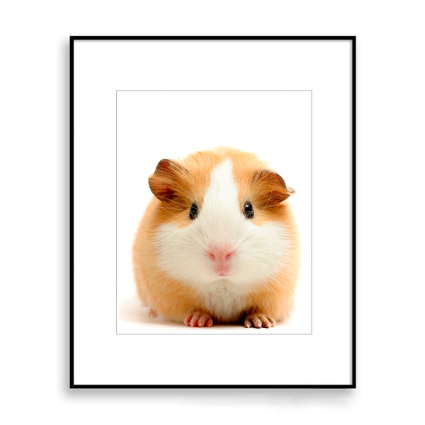 Adorable Guinea Pig Nursery Printable Digital Download in Multiple Sizes - NA1014