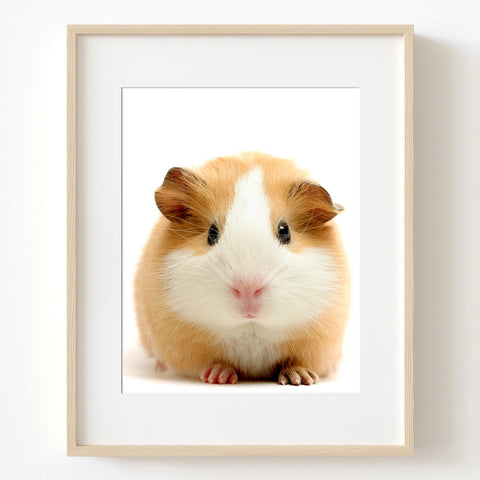 Adorable Guinea Pig Nursery Printable Digital Download in Multiple Sizes - NA1014