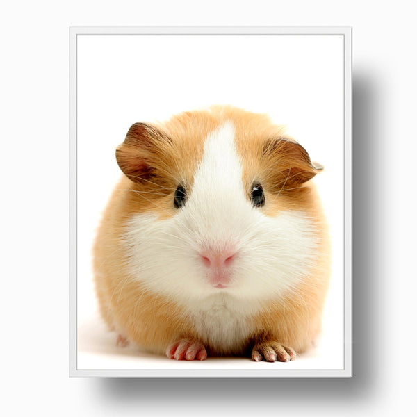 Adorable Guinea Pig Nursery Printable Digital Download in Multiple Sizes - NA1014