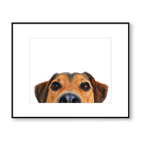 Cute Peekaboo Dog Nursery Printable Digital Download in Multiple Sizes - NA1016