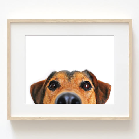 Cute Peekaboo Dog Nursery Printable Digital Download in Multiple Sizes - NA1016