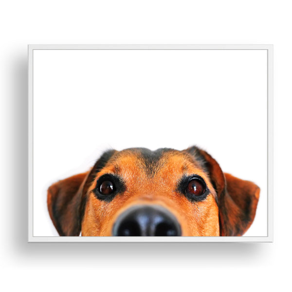 Cute Peekaboo Dog Nursery Printable Digital Download in Multiple Sizes - NA1016