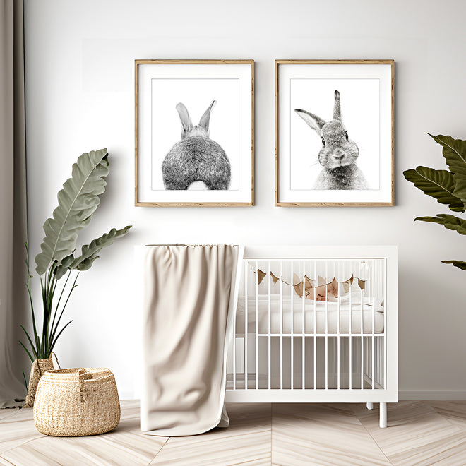 Nursery - Funny Animal Photos