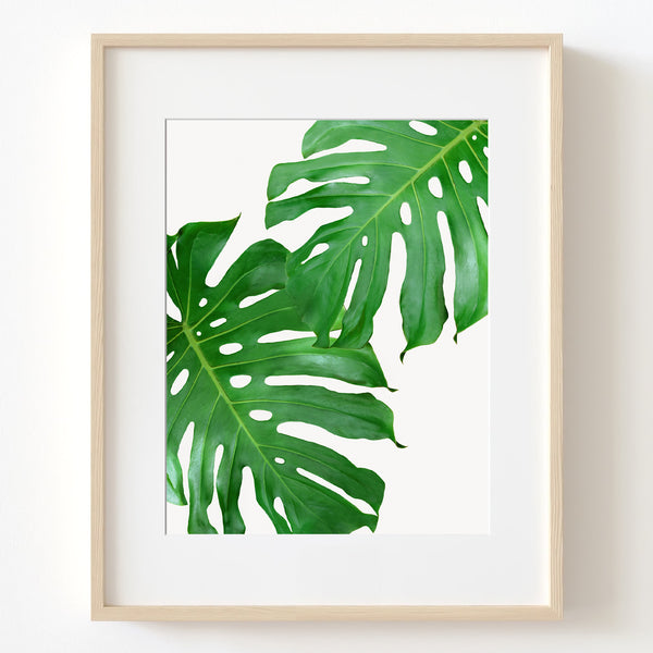 Monstera Leaves Duo Botanical Wall Art - Plant02