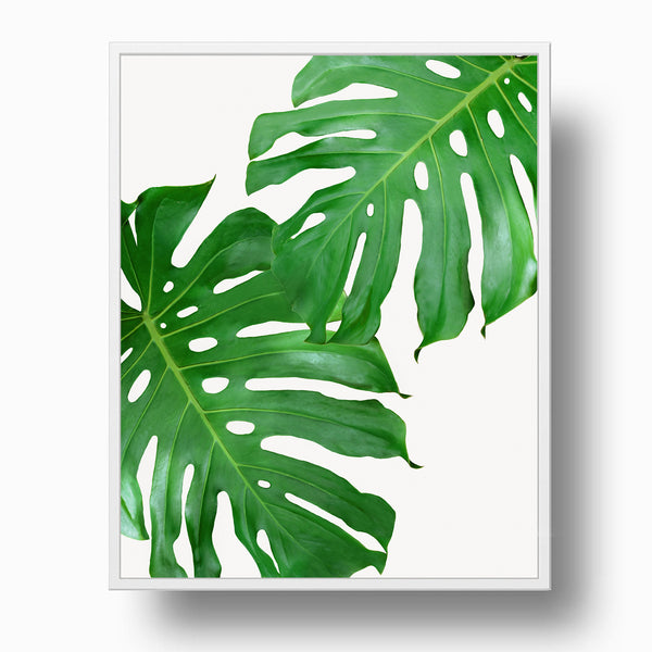 Monstera Leaves Duo Botanical Wall Art - Plant02