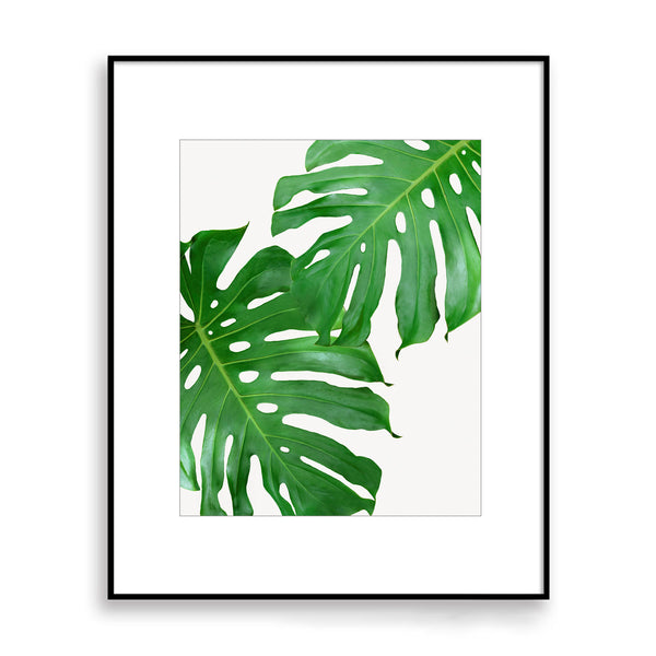 Monstera Leaves Duo Botanical Wall Art - Plant02