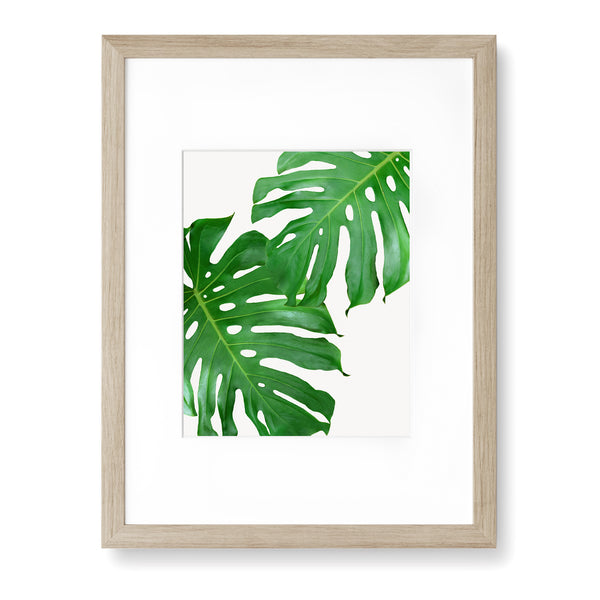 Monstera Leaves Duo Botanical Wall Art - Plant02