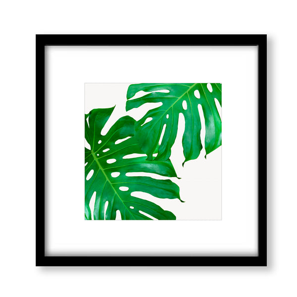 Monstera Leaves Duo Botanical Wall Art - Plant02