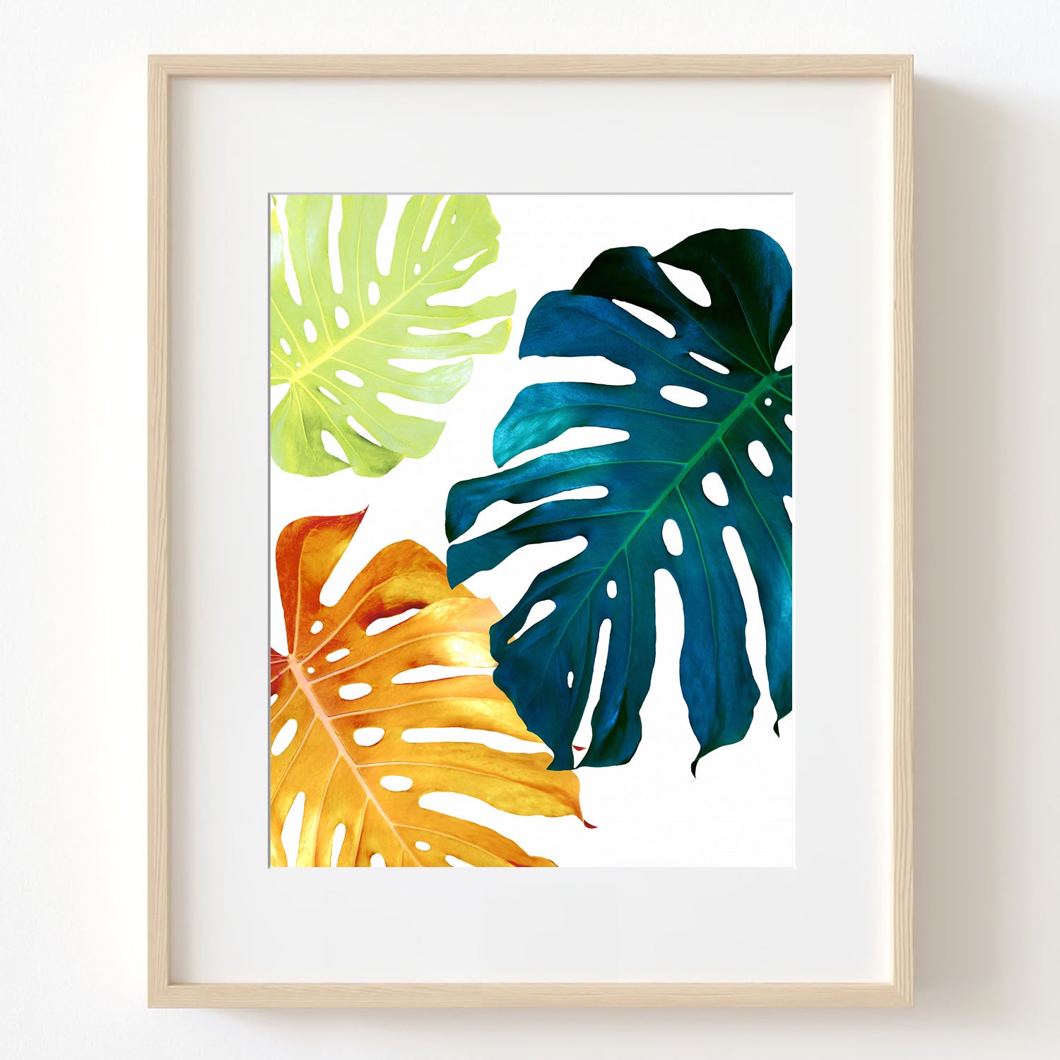 Colorful Monstera Plant Botanical Digital Printable Art in Multiple Si