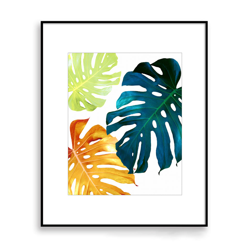 monstera plant colors Colorful Monstera Plant Botanical Digital Printable Art in Multiple Si