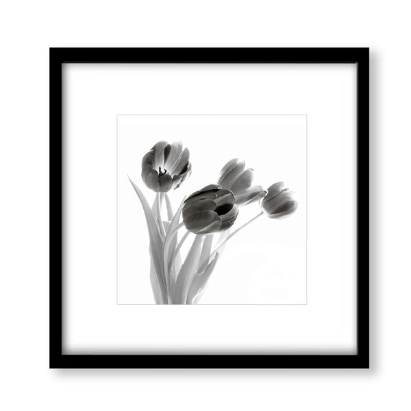 Monochrome Tulips Bouquet Wall Art - Plant04
