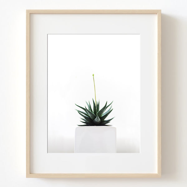 Minimalist Botanical Wall Art - Plant07