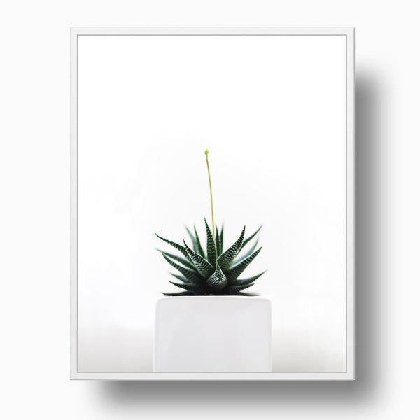 Minimalist Botanical Wall Art - Plant07