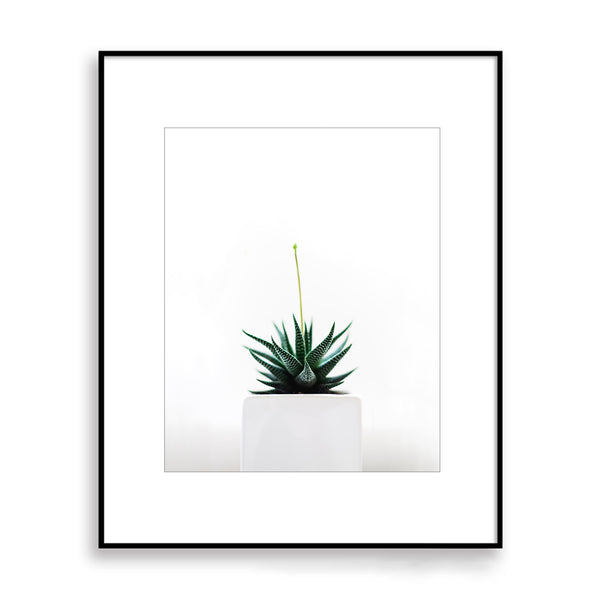 Minimalist Botanical Wall Art - Plant07