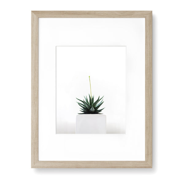 Minimalist Botanical Wall Art - Plant07