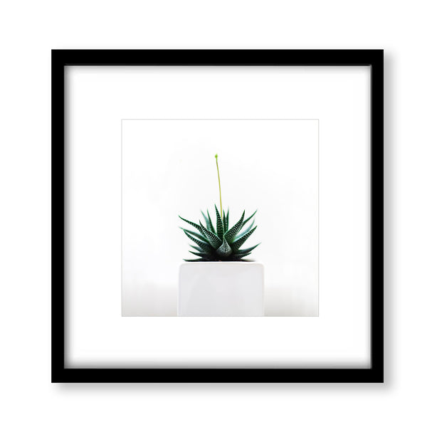 Minimalist Botanical Wall Art - Plant07