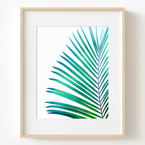 Turquoise Green Palm Leaf Botanical Print - Plant09