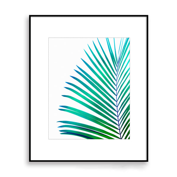 Turquoise Green Palm Leaf Botanical Print - Plant09