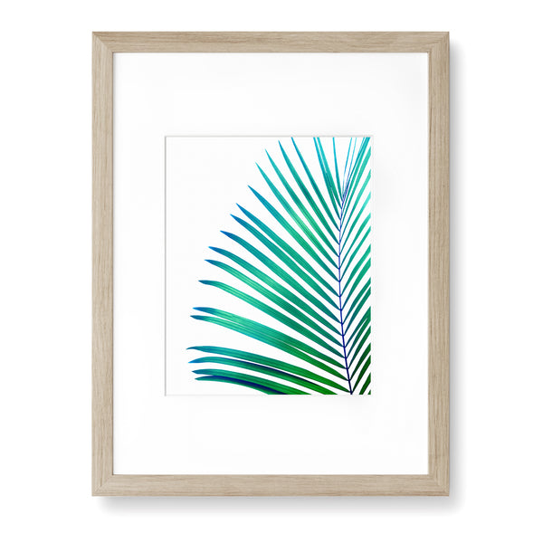 Turquoise Green Palm Leaf Botanical Print - Plant09