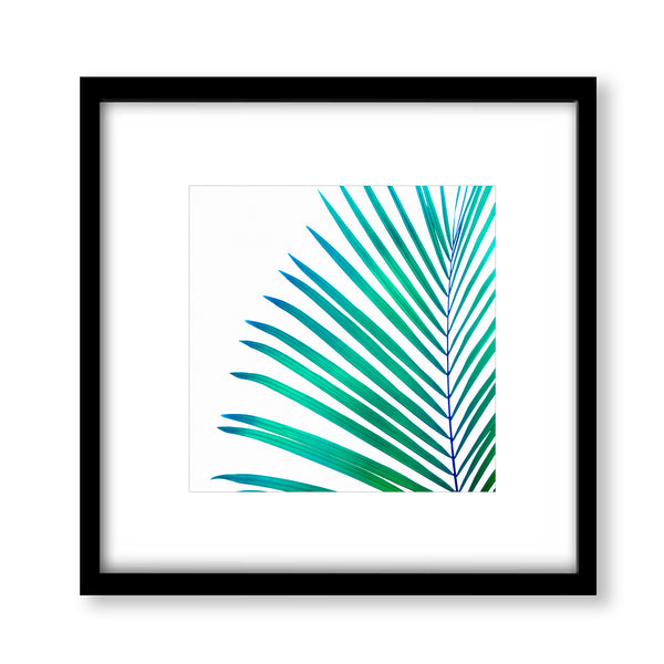 Turquoise Green Palm Leaf Botanical Print - Plant09