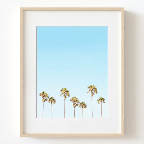 Palm Tree Row on the Coast Soft Colored Print - WCoast02