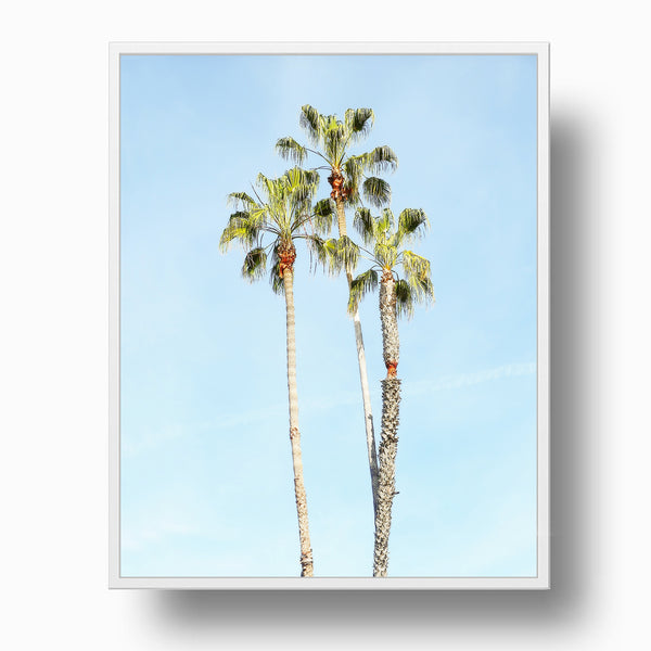 Palm Tree Trio Print - WCoast10