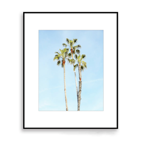 Palm Tree Trio Print - WCoast10