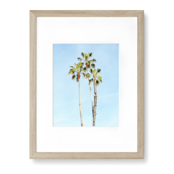 Palm Tree Trio Print - WCoast10