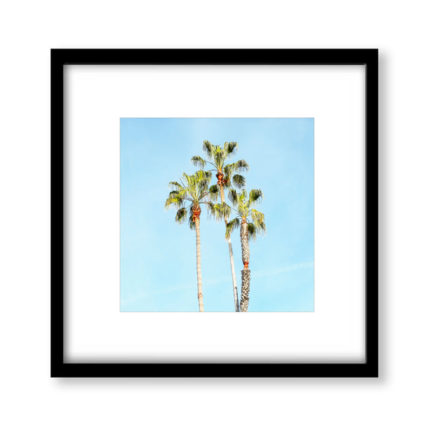 Palm Tree Trio Print - WCoast10