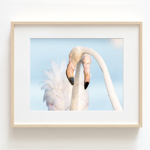 Florida Flamingos Coastal Art Print - WCoast12