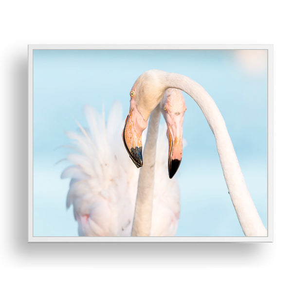 Florida Flamingos Coastal Art Print - WCoast12