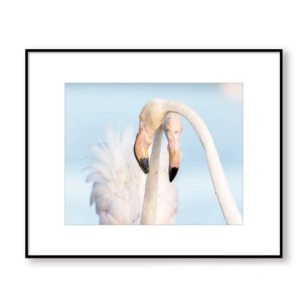 Florida Flamingos Coastal Art Print - WCoast12