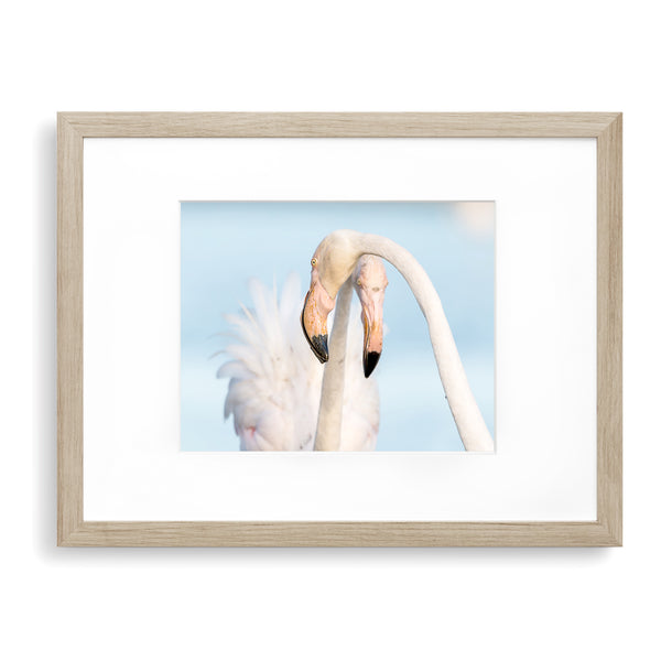 Florida Flamingos Coastal Art Print - WCoast12