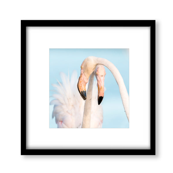 Florida Flamingos Coastal Art Print - WCoast12