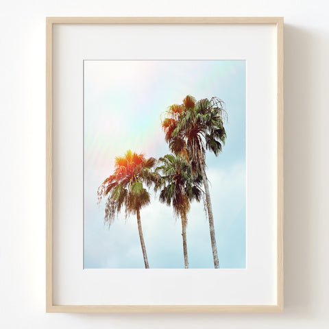 Palm Trees at Sundown Coastal Print - WCoast21